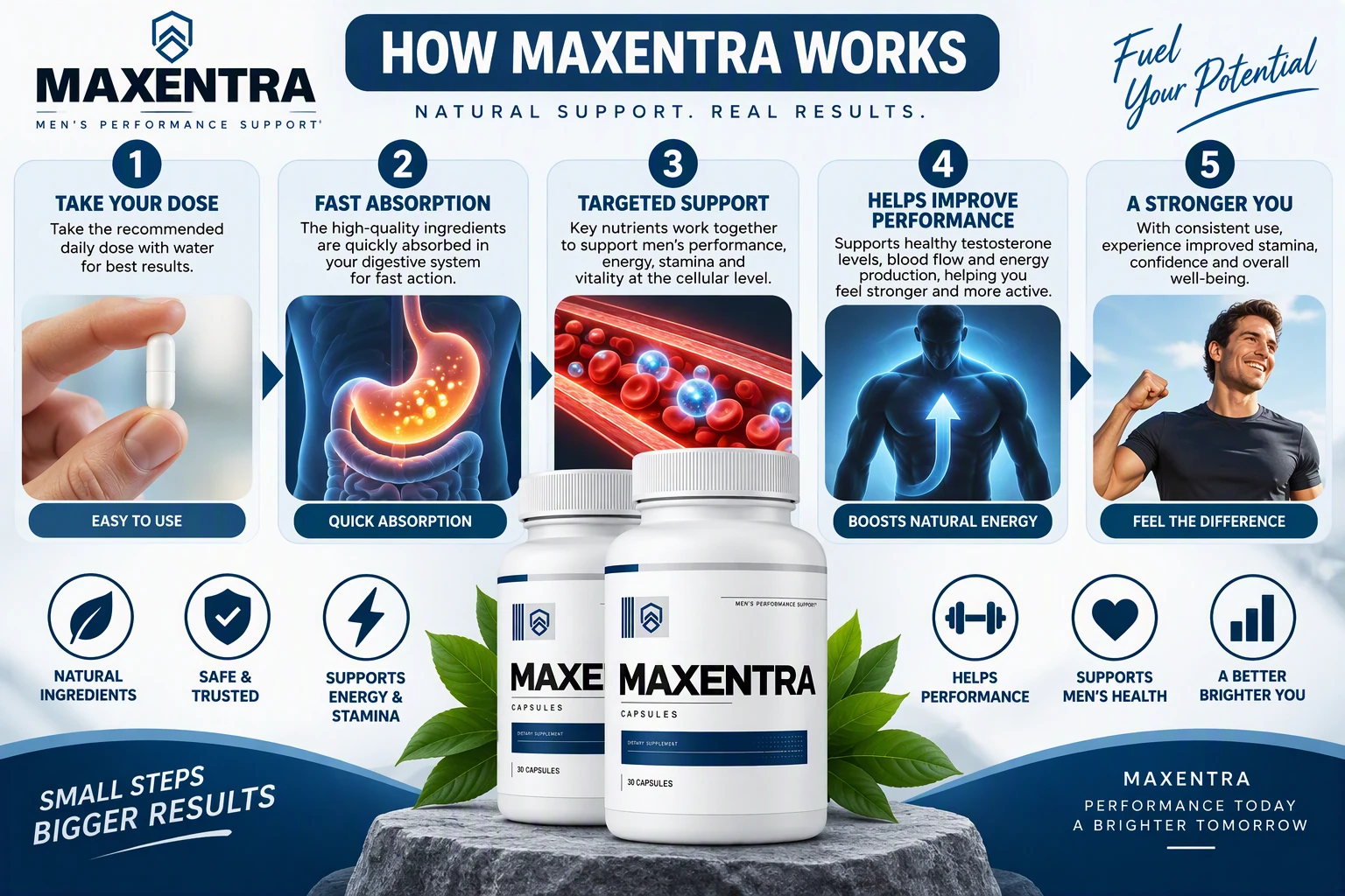 How Maxentra works